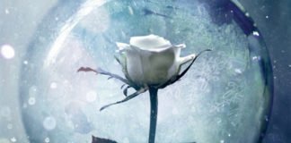 Canción de Invierno, de S. Jae-Jones, en 2018 en Roca editorial