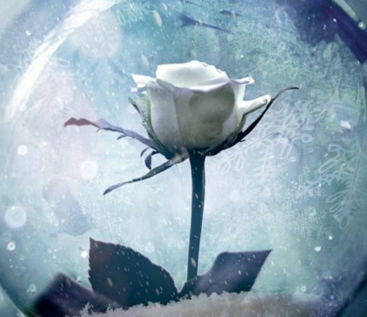 Canción de Invierno, de S. Jae-Jones, en 2018 en Roca editorial