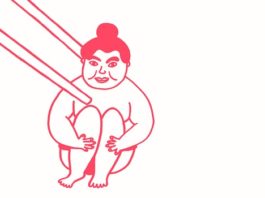 Impedimenta publicará en abril el libro ilustrado sobre Japón «Pikunikku»