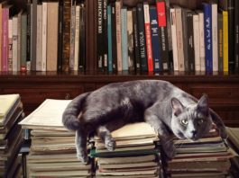 Enciclopedia Eslava, de Juan Eslava Galán: un variopinto anecdotario histórico