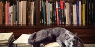 Enciclopedia Eslava, de Juan Eslava Galán: un variopinto anecdotario histórico