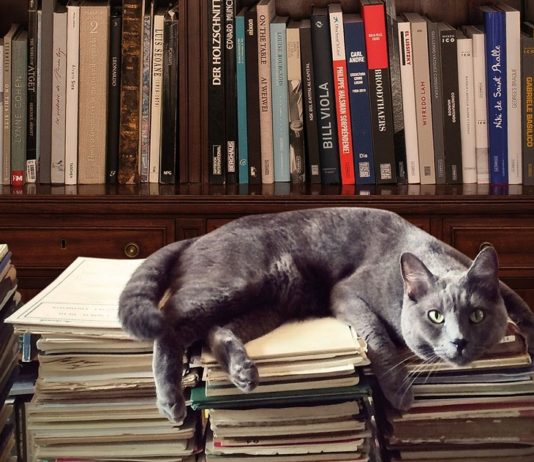 Enciclopedia Eslava, de Juan Eslava Galán: un variopinto anecdotario histórico