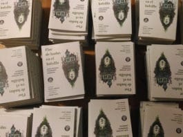 Exclusiva: Primeros capítulos de Flor de hadas en el bolsillo, de Juan Antonio Fernández Madrigal