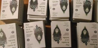 Exclusiva: Primeros capítulos de Flor de hadas en el bolsillo, de Juan Antonio Fernández Madrigal