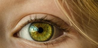 Una nueva terapia génica permite curar la retinosis pigmentaria en retinas cultivadas Ojo