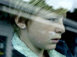 «Custodia compartida», de Xavier Legrand: miedo ante la violencia soterrada