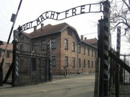 «El tatuador de Auschwitz», de Heather Morris: Un viaje en el tiempo al mayor campo de concentración nazi