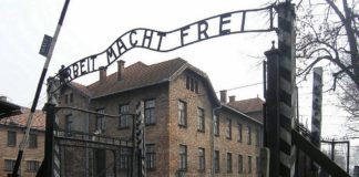 «El tatuador de Auschwitz», de Heather Morris: Un viaje en el tiempo al mayor campo de concentración nazi