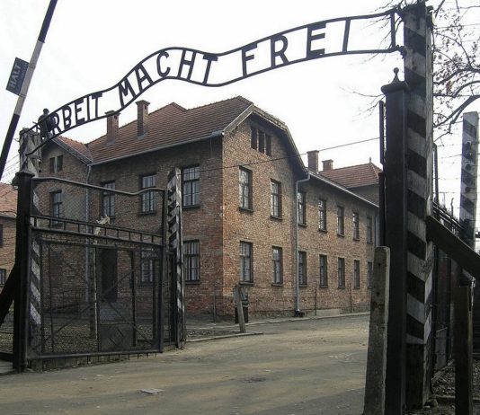 «El tatuador de Auschwitz», de Heather Morris: Un viaje en el tiempo al mayor campo de concentración nazi
