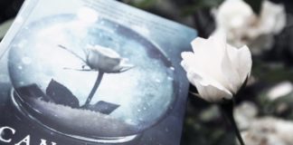 Canción de Invierno, de S. Jae-Jones: un romance sobrenatural y etéreo