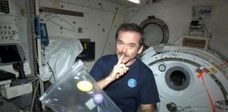 Guía de un astronauta para vivir en la Tierra, de Chris Hadfield: inspirador relato sobre cómo alcanzar tus sueños Chris Hadfield