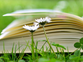 Calendario literario juvenil: Junio 2018