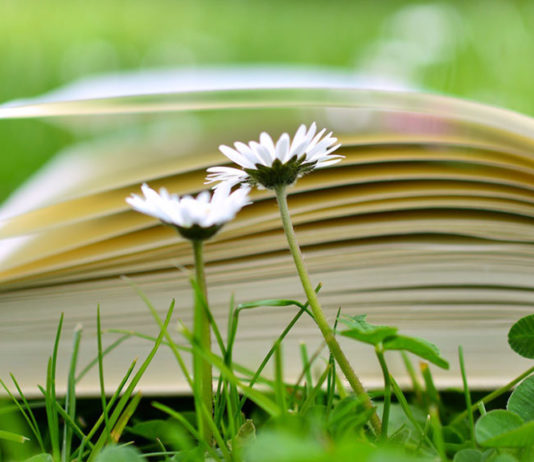 Calendario literario juvenil: Junio 2018