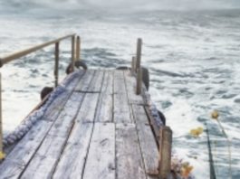 En julio llega «La rosa del viento», la nueva novela de Corina Bomann