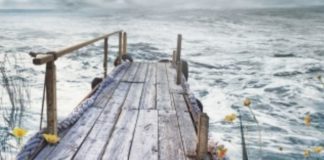 En julio llega «La rosa del viento», la nueva novela de Corina Bomann