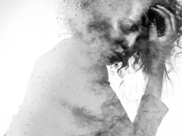 Las drogas psicodélicas promueven la plasticidad neuronal en ratas y moscas Depresión