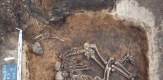 La peste negra se expandió mil años antes en Rusia