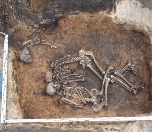 La peste negra se expandió mil años antes en Rusia