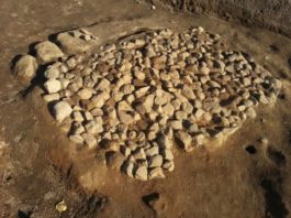 Nuevas evidencias confirman que los suecos bebían cerveza desde la Edad del Hierro yacimiento arqueológico