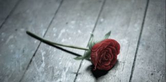 «La cabaña», de Natasha Preston. Cuando el asesino está entre tus amigos o puede ser quien amas