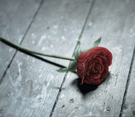 «La cabaña», de Natasha Preston. Cuando el asesino está entre tus amigos o puede ser quien amas