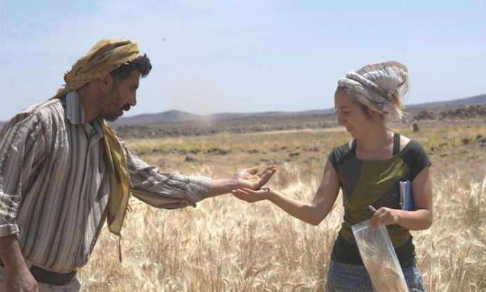 Pan antes de la agricultura Pan antes de la agricultura