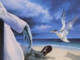 «Colorado Kid» de Stephen King: la novela en la que se basa la serie «Haven»