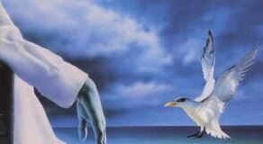 «Colorado Kid» de Stephen King: la novela en la que se basa la serie «Haven»