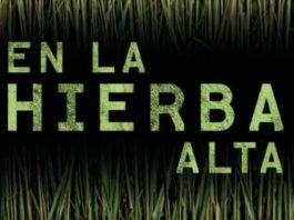 «En la hierba alta» de Stephen King y Joe Hill: un relato a cuatro manos del presente y el futuro del terror