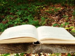 Calendario literario juvenil: Octubre 2018