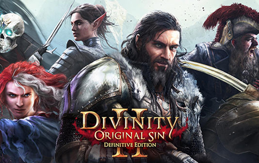 Divinity Original Sin 2: Definitive Edition