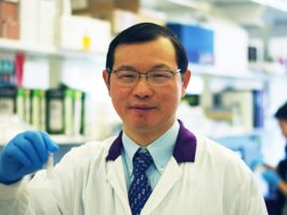 ¿Cómo nos ayudan el aceite de oliva y un sueño suficiente a protegernos contra enfermedades cardiovasculares? Doctor Heyu Ni