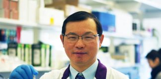 ¿Cómo nos ayudan el aceite de oliva y un sueño suficiente a protegernos contra enfermedades cardiovasculares? Doctor Heyu Ni