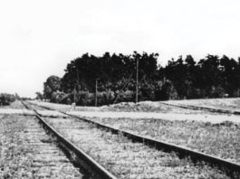 Una larga noche, de Andrea Pitzer: historia universal de la infamia