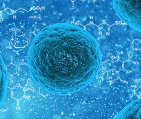 La forma en que cada célula produce proteínas influye en el tratamiento de distintas enfermedades célula