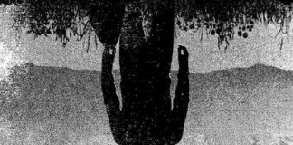 Plaza y Janés publica en octubre «El visitante» de Stephen King