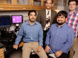 Investigación: ¿Cómo se regenera el hígado? regeneración hepática