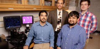 Investigación: ¿Cómo se regenera el hígado? regeneración hepática