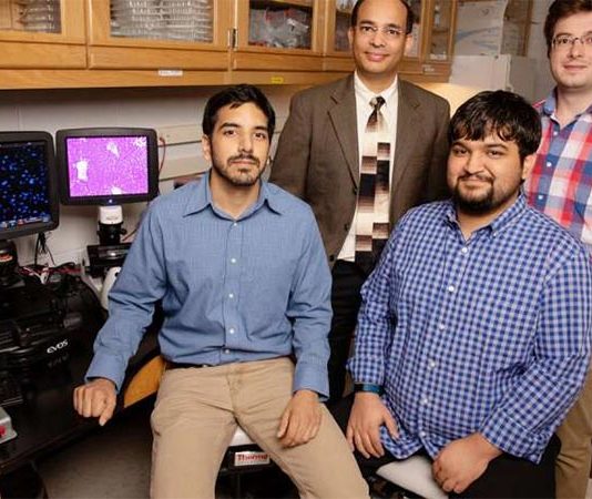 Investigación: ¿Cómo se regenera el hígado? regeneración hepática