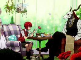 The ancient magus bride 10, de Koré Yamazaki: la Academia de magia