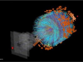 El estado del universo primitivo: el comienzo fue un fluido colisión Xenon-Xenon