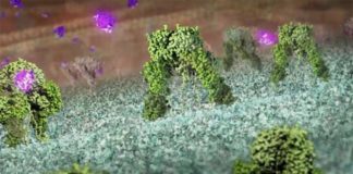 Un descubrimiento podría conducir al diseño de una insulina mejorada para tratar la diabetes Cómo actúa la insulina