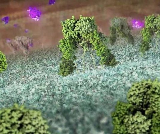 Un descubrimiento podría conducir al diseño de una insulina mejorada para tratar la diabetes Cómo actúa la insulina