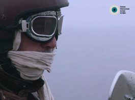 FICX Sección Oficial: Zaniki