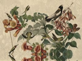 La edición española de «El origen de las palabras», ya en las librerías