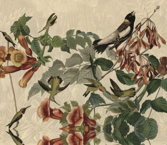 El origen de las palabras, de Ricardo Soca: la etimología como una de las Bellas Artes