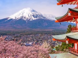 «Japón: Manga, traducción y vivencias de un apasionado del país del sol naciente»: Una guía por la cultura japonesa