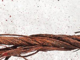 «Más rojo sangre», de Katarzyna Puzynska: prosiguen los crímenes en Lipowo