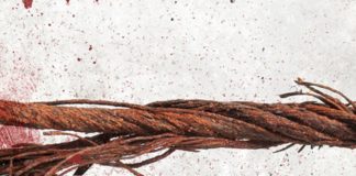 «Más rojo sangre», de Katarzyna Puzynska: prosiguen los crímenes en Lipowo