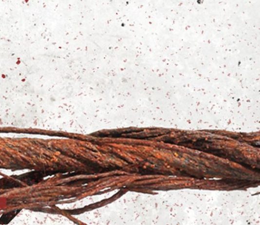 «Más rojo sangre», de Katarzyna Puzynska: prosiguen los crímenes en Lipowo